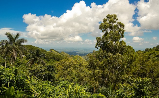 Grand Parc national de la Sierra Maestra