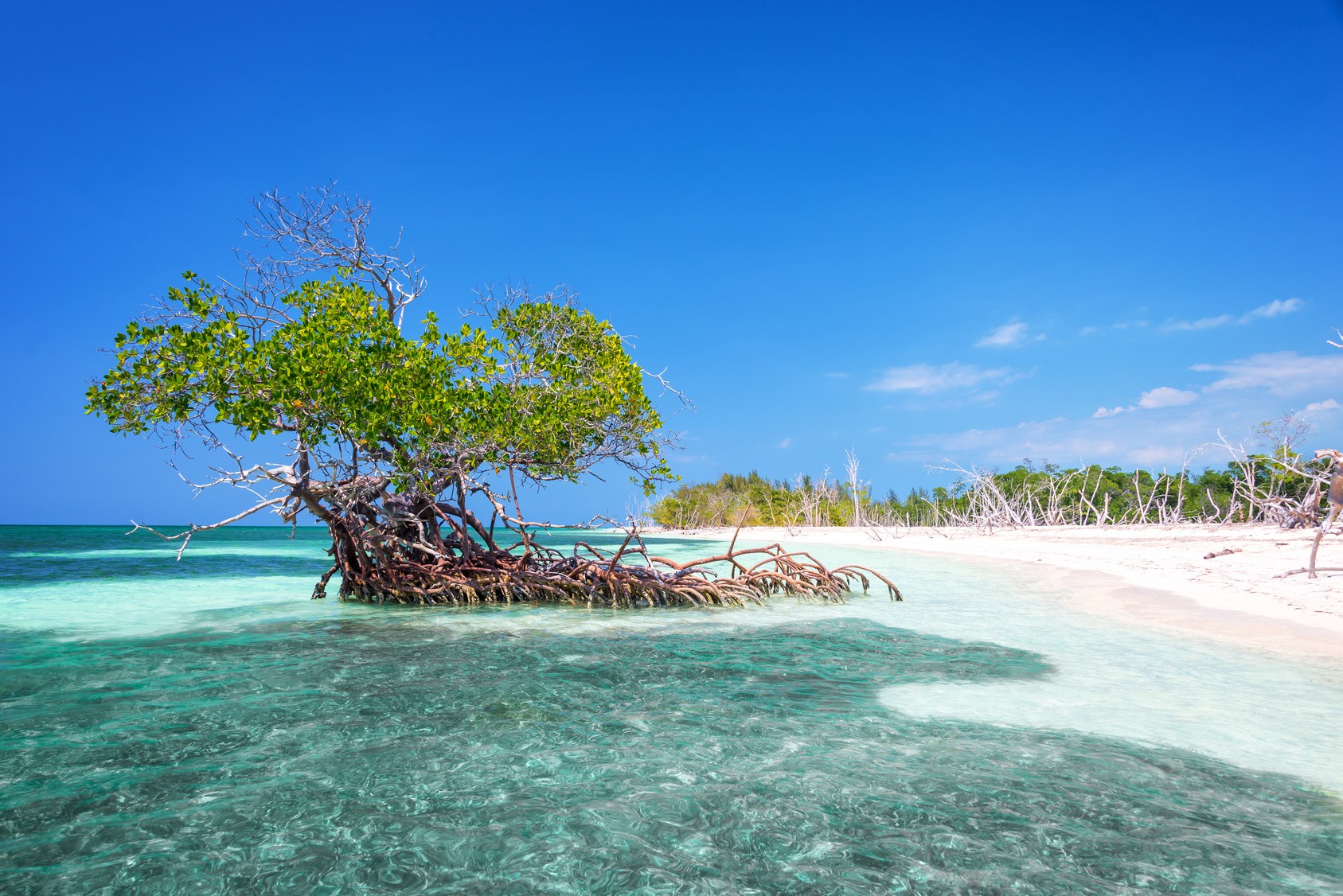 Plage de Cayo Levisa non loin de Vinales, Cuba