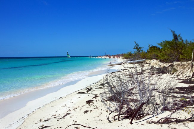 Plage préservée du Cayo Largo del Sur, Cuba