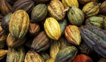 voyage cuba evaneos cuba-cacao-baracoa