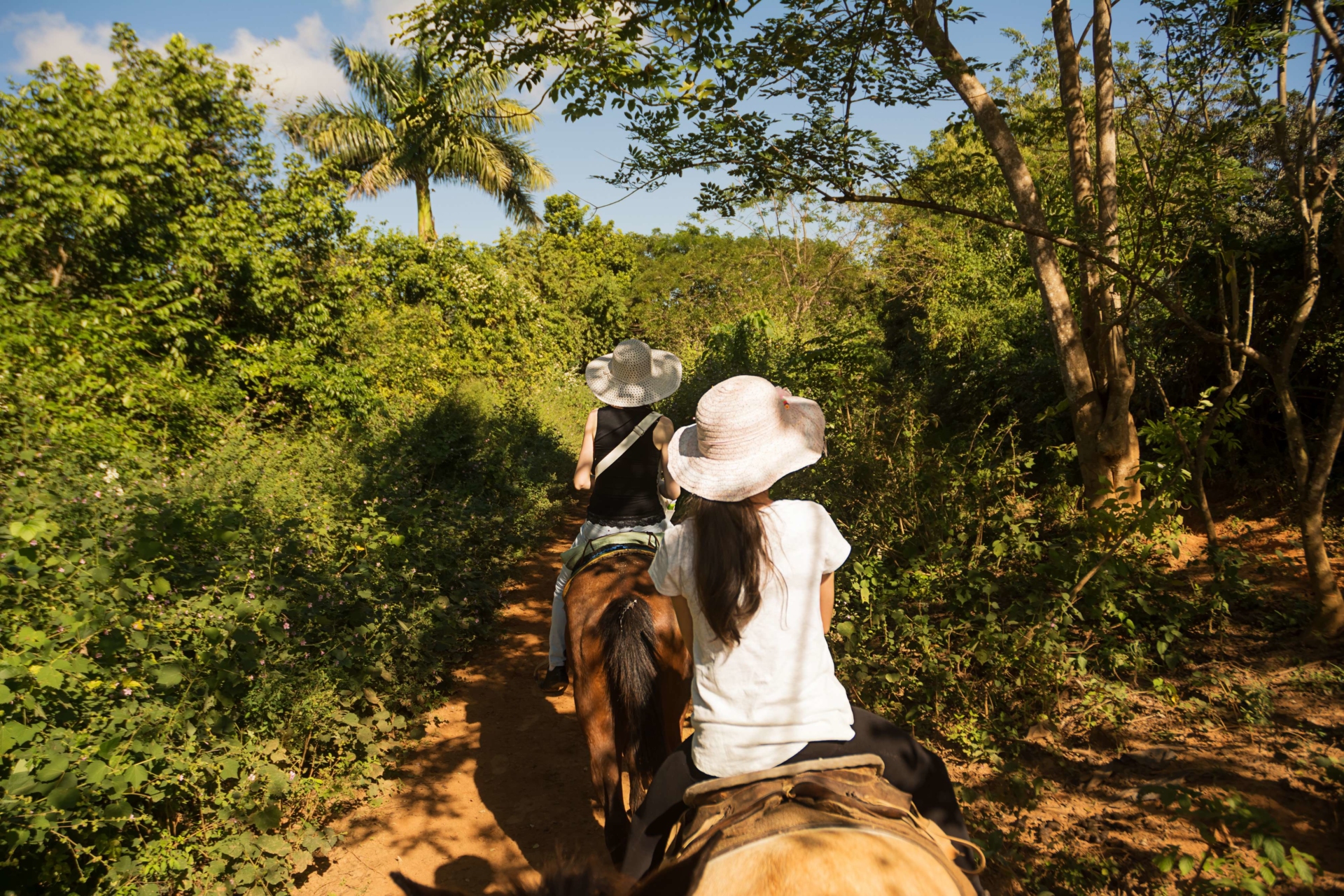 cuba-vinales-balade-cheval