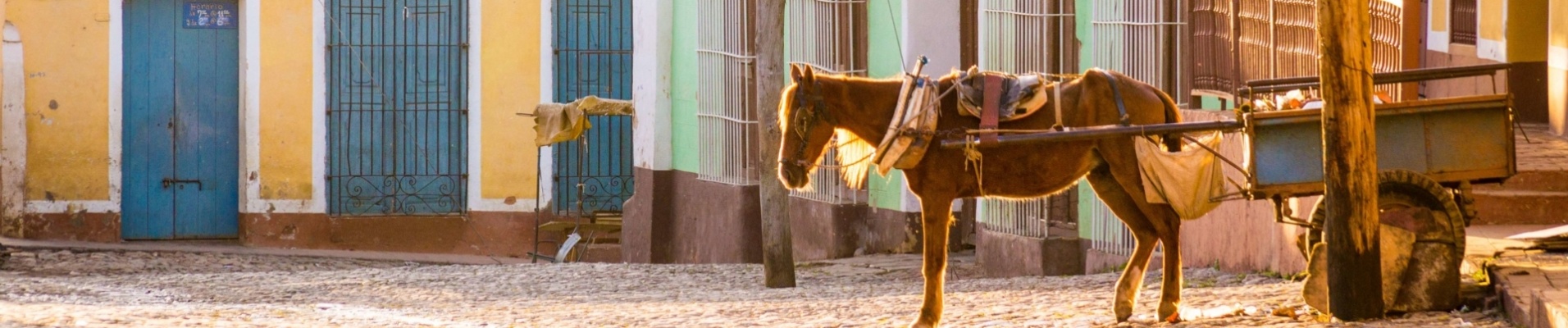 cheval-charette-trinidad-cuba