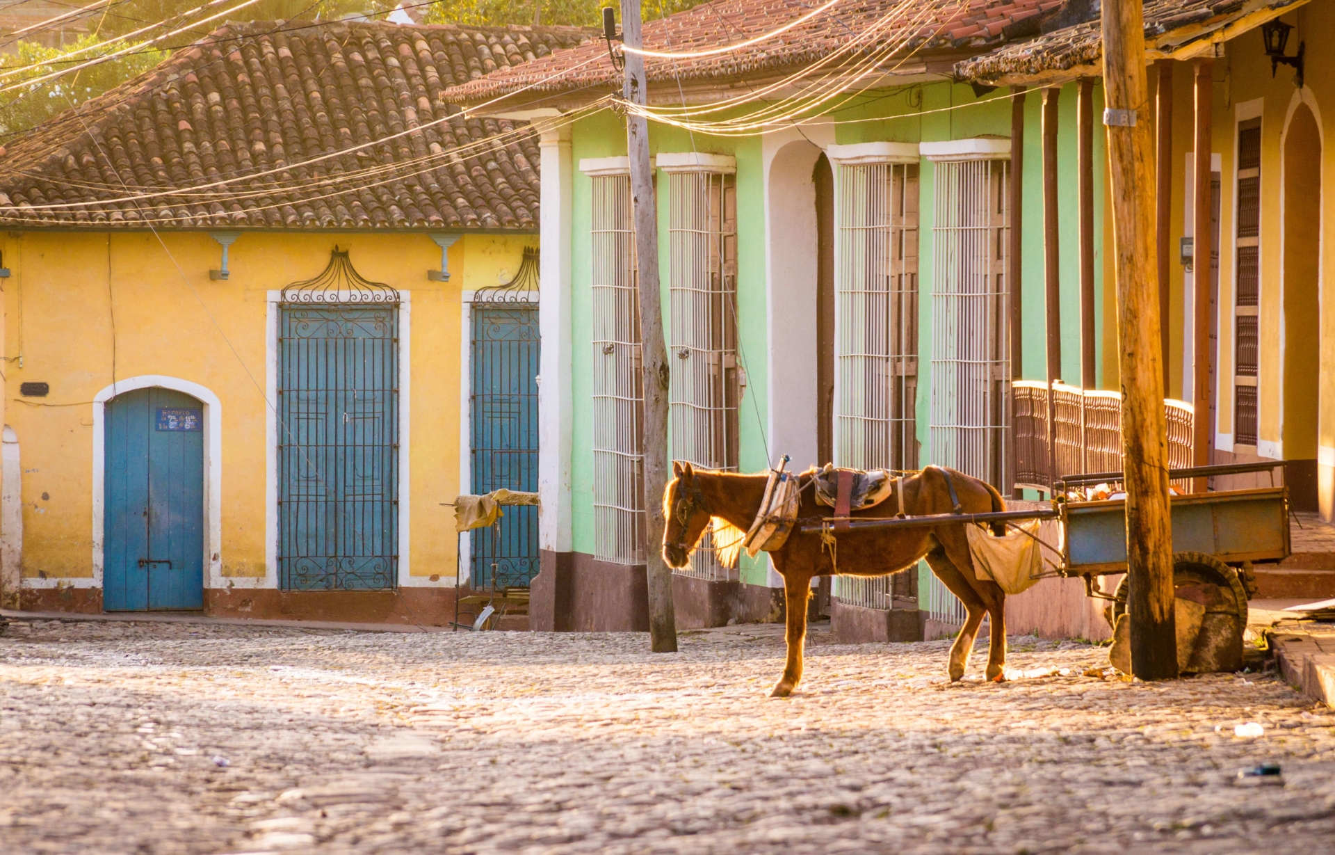 cheval-charette-trinidad-cuba