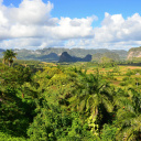 cuba-vinales