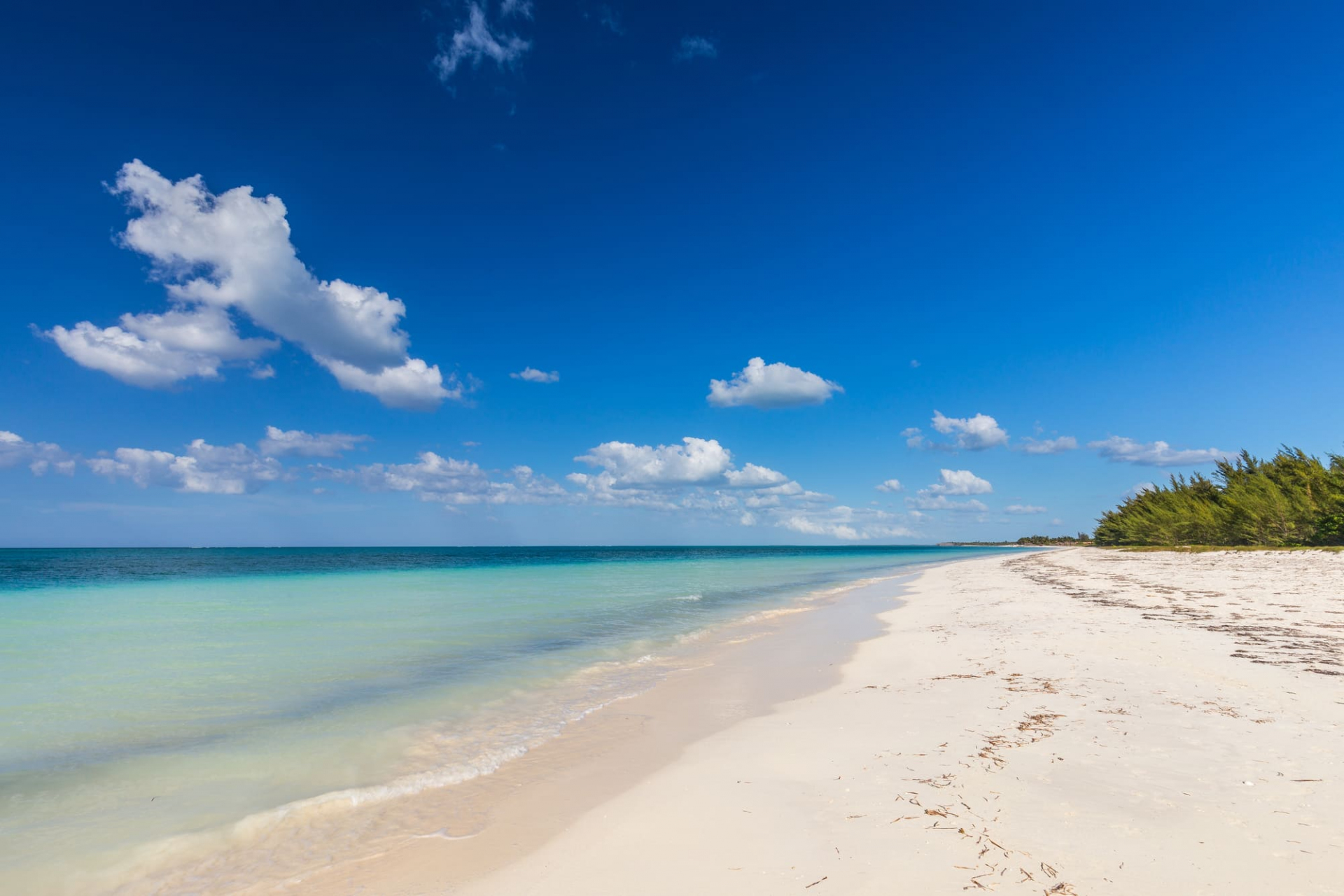 programme-15j-cayo-levisa